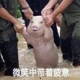 qq瓜群,揭秘網絡社交的趣味與爭議