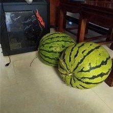 吃瓜大瓜事件,揭秘網絡輿論狂歡背后的真相